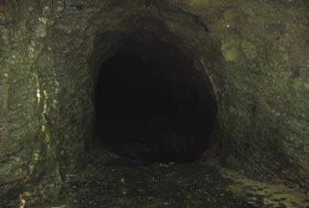 Jame V jamah je najpogostejši dejavnik v minimumu nizka intenziteta svetlobe, ki od vhoda jame pada.