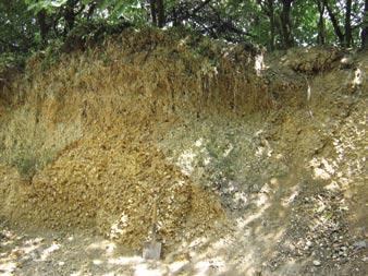 Kamnolomi in peskokopi Zaradi lomlenja kamenja pride do težko popravljive degradacije v okolju, kajti po končanju odvzema so brežine kamnoloma izredno strme in težko obnovljive.