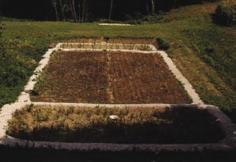 RČN Planinca Rastlinska čistilna naprava (RČN) za turistično kmetijo na Planinci je bila izgrajena leta 1997.