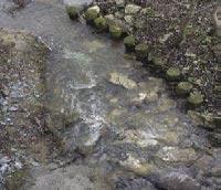 V letu 2006 je bil Peskovski potok revitaliziran z namenom ohranitve populacije vidre (Lutra lutra) na Goričkem. Revitalizacija vodotoka je bila izvedena v dolžini 100 m v kraju Gornji Petrovci.
