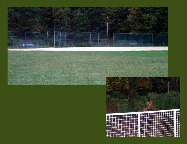 Recreational Resources: Legion Field contains one softball field and a small set of bleachers. There is a fenced backstop and a fence in front of the team benches.