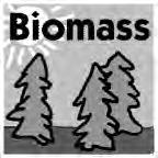 Biomass energy theory is rooted in the nutrients and energy found within all organic matter. When a brush pile is set on fire, the energy and nutrients literally go up in smoke.