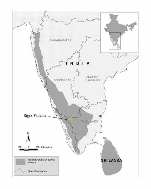 Location and Aim of Report The Nilgiri and Eastern Ghats (NEG) area covers over 12,000 km 2 of evergreen and dry deciduous forest, thorn scrub jungle and grasslands. It comprises Elephant Range No.