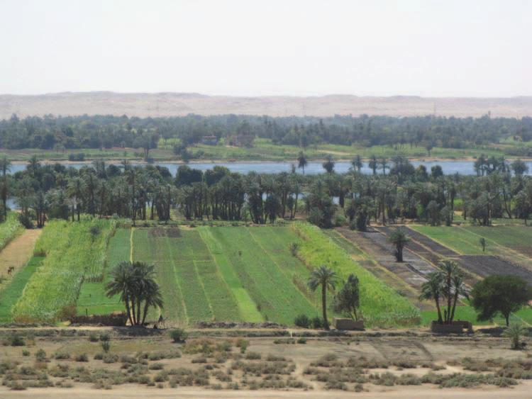 Figure 2. The Nile is bordered by fertile black soil that supports lush vegetation. Beyond the margins of this soil is the red land, or desert, that is inhospitable to humans and most animals.