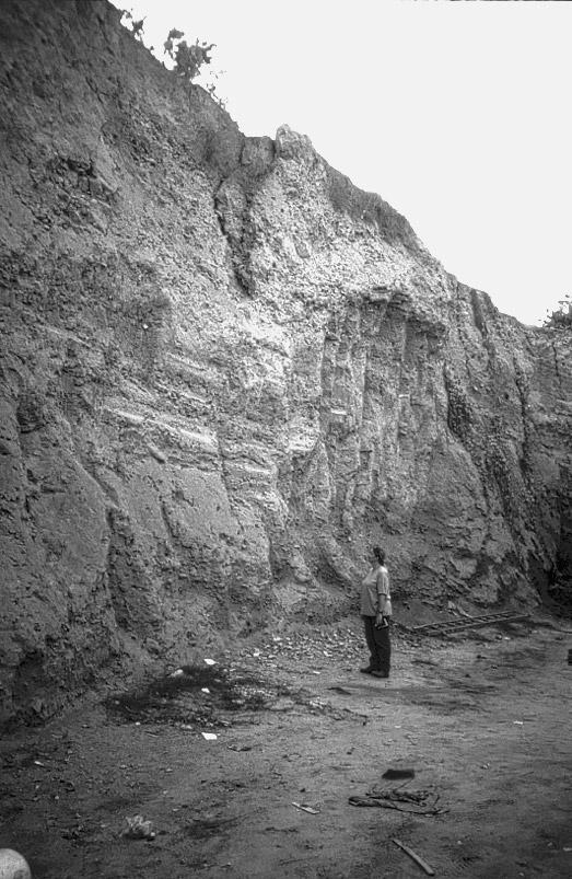Exposed northern face of ancient Gaza, showing slump of Late Antique material. undertake surface collection.