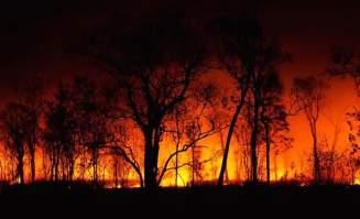 Photo courtesy of visualphotos.com And the following is from the Tasmanian Fire Service and is specific as to what to do if trapped while on foot.