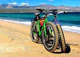 READ MORE Take an adventure on a fat bicycle For a different type of adrenaline rush, hop on a Fat Bike as you explore Port Elizabeth s beaches.