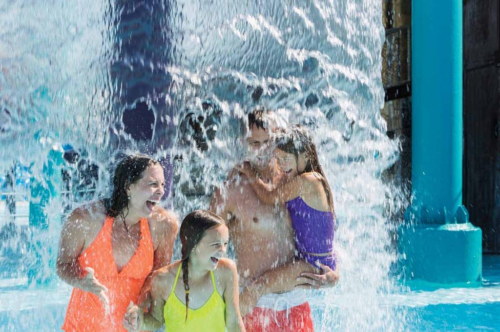 be found exclusively at: Your aquatic manufacturer and service provider of American made pool, spa and resort streams, dreams, tanks and systems.