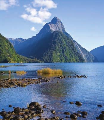 Like a Local cruise the full length of Milford Sound, a magnificent fiord with views of cascading waterfalls, dense rainforest, sheer cliffs and the surrounding mountains of this World