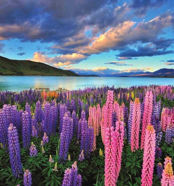 New Zealand Getaway 15 Day Travelmarvel Tour With its snow-capped