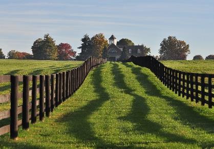 TOUR 1 HORSES, HOOCH & HISTORY Experience a little of each of Kentucky s signature industries, horses AND bourbon, with this popular tour.