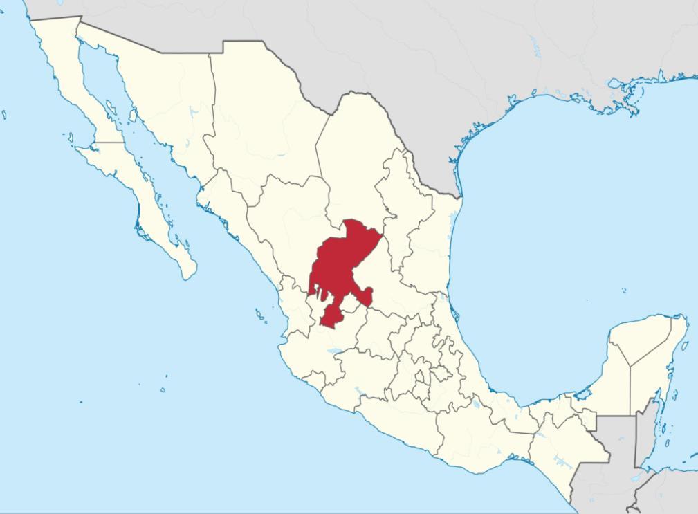 GENERAL INFORMATION Zacatecas has a surface of 75,539 km 2, equivalent to the 3.8% of the total surface of the country, occupying the 8th national place in territorial extension.