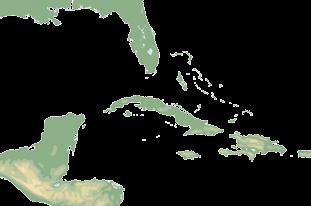 CARIBBEAN WINTER NeW CARIBBEAN WINTER WESTERN CARIBBEAN COlOURS Of paradise 1 COzUMEl Mexico USA MIAMI GEORGETOWN (Cayman Islands) Caribbean sea GREAT STIRRUp CAY Bahamas falmouth Jamaica MSC DiViNa