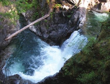 21 mi) upstream from the mouth of the river, Englishman River Falls Provincial Park is famed for its two