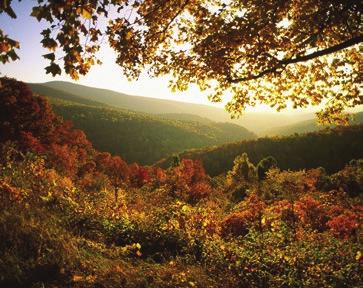 Park is best known for Skyline Drive, a 169 km (105 mi) road that