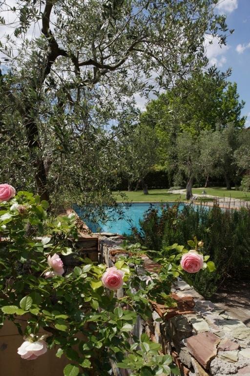 THE PROPERTY In the land of Leonardo da Vinci, the famous wine and oil producing territory of Montalbano, minutes from the natural springs and the most famous natural SPA and Grotto of Europe: Grotta