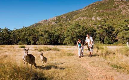 Journey to the Grampians, one of Australia s ancient and spectacular mountain ranges Soak up the breathtaking views