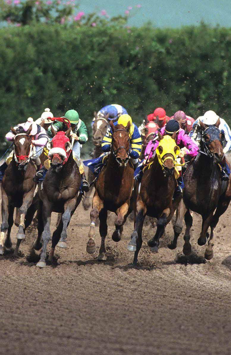 Tickets for 1 st floor clubhouse Access to Premium In-track Hospitality Transportation to/from Derby (Hotel Package Only) Official Kentucky Derby 140 Gift Bag EXCLUSIVE CLASSIC HOSPITALITY Cash Bar