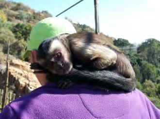 Magaliesberg Biosphere Reserve The Bush Babies Monkey Sanctuary provides an environment where orphaned and abused monkeys can be given their freedom in a natural environment.