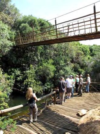 You will walk through indigenous forests with waterfalls and mountain springs on elevated wooden walkways.