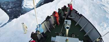 After 20 years of navigating the waters in Svalbard she has the experience and track record of being able to access difficult to reach sites that are inaccessible to other ships.
