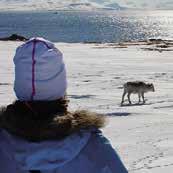Virgohamna, Danskøya Two of the most courageous attempts to reach the North Pole started on