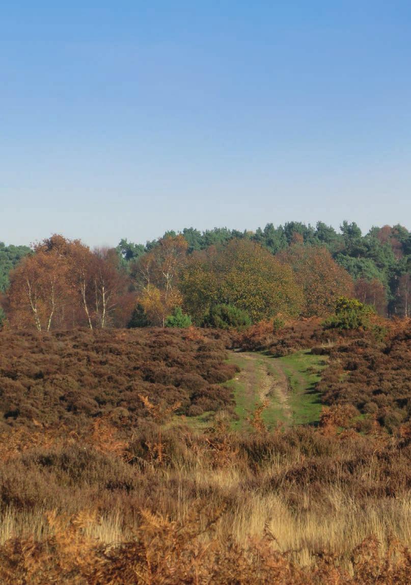 Outstanding Landscapes Sutton and Hollesley Heaths Walk Guide Explore the unique