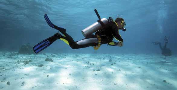 SPECIALTY DIVE COURSES SEARCH AND RECOVERY May 18-19 July 6-7 This program provides the skills and concepts required to plan and conduct search and recovery dives safely.