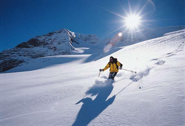 SKIING IN THE DOLOMITES THE FACTS WHY GO WITH DOLOMITES SKI TOURS? Dolomites Ski Tours has been successfully running ski holidays in Italy for 23 years.