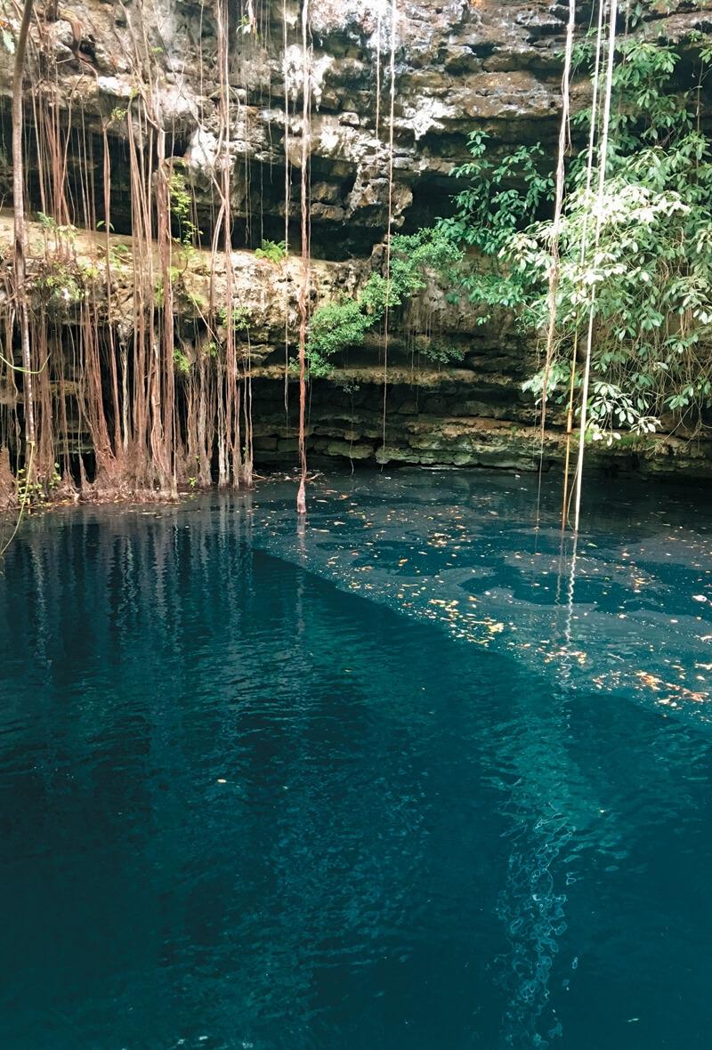 A Private Cenote in one of the estates owned by Catherwood Travels One day, we had been traveling along bumpy roads for about an hour, when the driver pulled up to a guarded entrance.