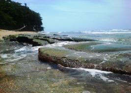 After your visit to Cahuita National Park, we ll continue the drive to the picturesque town of Puerto Viejo de Limon.