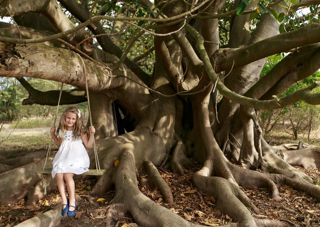 The original Heritage House, the century old, iconic Morton Bay Fig trees and an acre of land