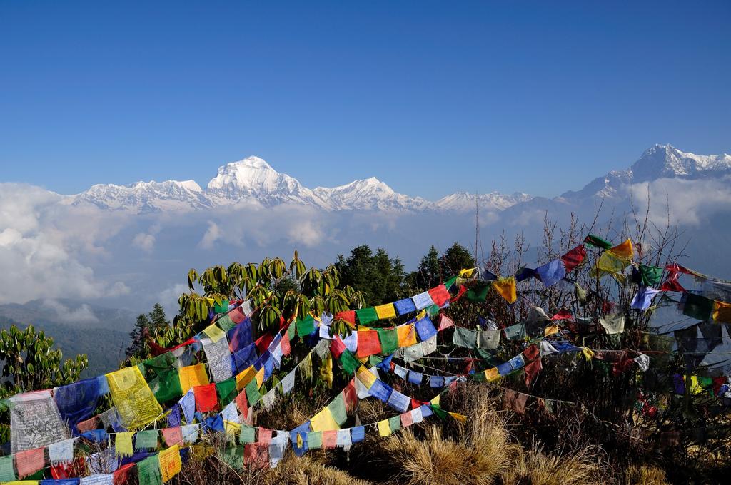 Day 7: Ghorepani - - Poon Hill - - Tadapani (B) This morning after breakfast take in the incredible mountain scenery that lines the route from Ghorepani to Poon Hill.