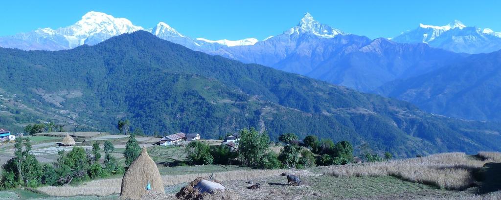 The Annapurna Base Camp trek is undoubtedly one of the few treks that combine different landscapes to bring you close to a base comprising of 7,000 to 8,000 meter peaks.