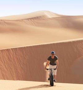 Desert Safari Desert Yoga Fat Biking Liwa Tour Sand Boarding Sand Sledding Abu Dhabi Tour Animal