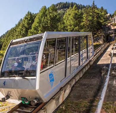 the train takes you through forests and tunnels to the foot