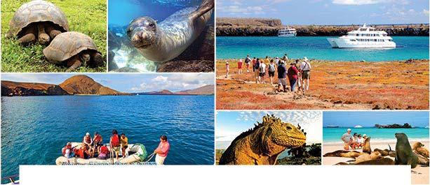 abounds in colorful and fascinating varieties of local cultures still practicing traditional customs and also in unique natural attractions. GALAPAGOS A LA CARTE!