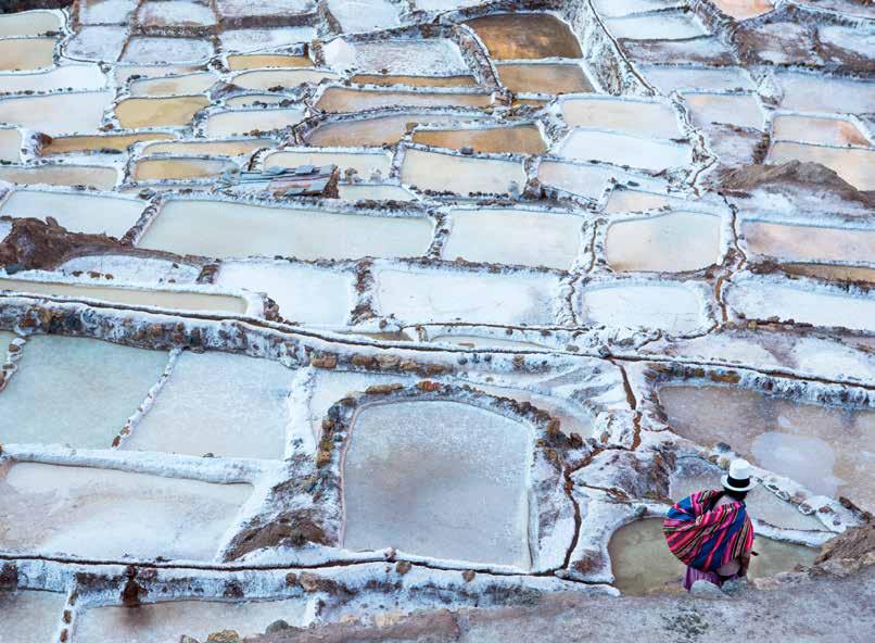 study the natural salt mines of Maras and the astonishing