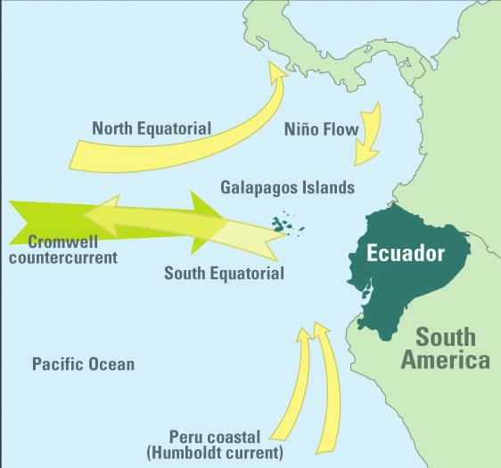 During the warm and rainy season, the Southeast Trade Winds diminish in strength, and warmer waters from the Panama basin flow into the Islands, providing the Galápagos with a tropical climate.
