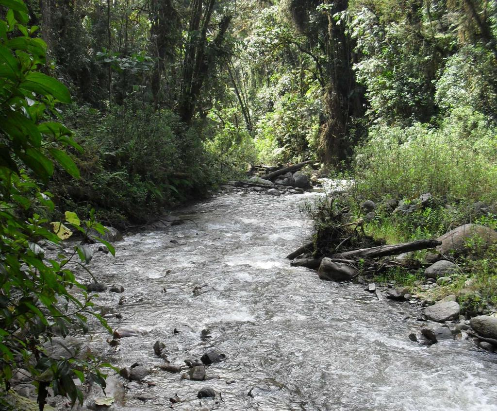of the Siquila River (Sub-basin of Saldaña River).