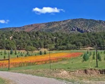 Tucked into a secluded valley with BLM on both sides you ll find the 482± beautiful acres of Hidden Valley Ranch.