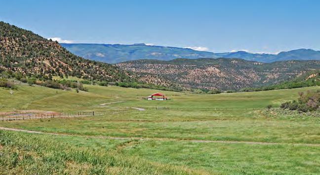 Beginning with lush, irrigated meadow the productive hay ranch escalates in elevation 1,200 feet allowing a mix of vegetation suited perfectly for alpine livestock grazing and big game hunting.