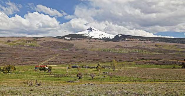 NELSON SPRINGS RANCH SAN MIGUEL COUNTY, COLORADO 400± ACRES $685,000 At the foot of Lone Cone peak lays the Nelson Springs Ranch.