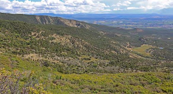 KIER MOUNTAIN RANCH CEDAREDGE, COLORADO PARCEL A: 322± ACRES $290,000 PARCEL B: 873± ACRES $600,000 These two pristine mountain parcels are located near Cedaredge, Colorado on the south face of the