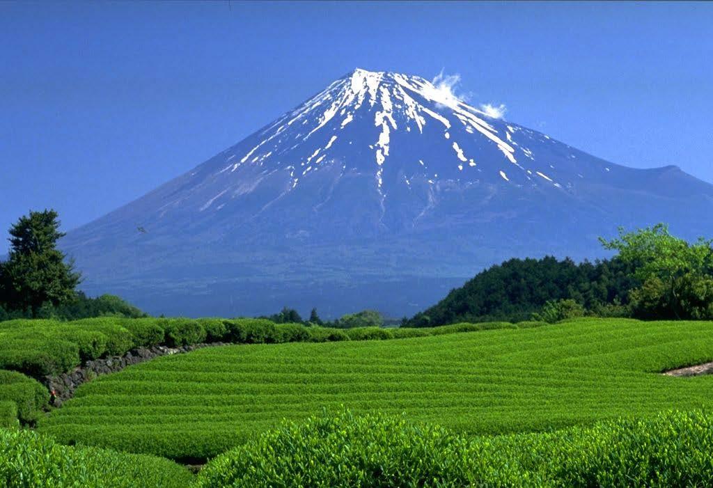 Mt. Fuji's listing as