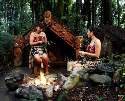 After the tour, travel over the bush-clad Mamaku Ranges to the Rotorua region.