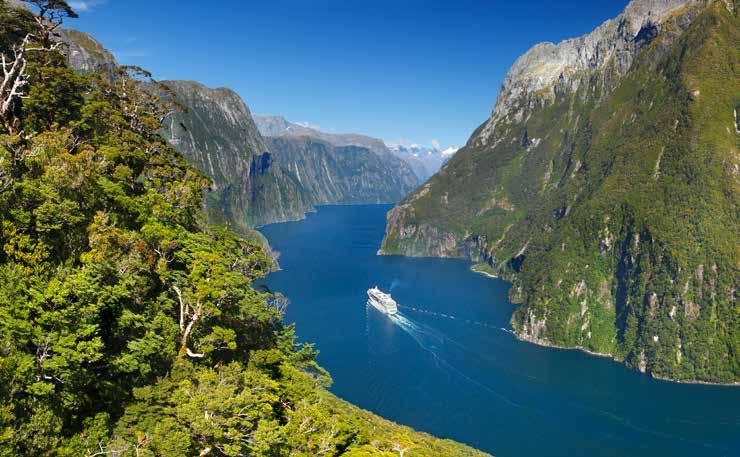 This wilderness region is also habitat to Bottlenose dolphins, New Zealand fur seals and the Fiordland crested penguin.