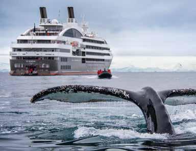 , A&K Guests Intimate Sailings Mean Unequalled Exploration Having 199 guests grants us Category 1 status in Antarctica.