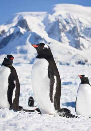 Classic Antarctica 12 days priced from US$10,995 Limited to 199 guests Visiting Buenos Aires, Ushuaia, Drake Passage, Antarctic Peninsula, South Shetland Islands (which may include Paulet, Half Moon,
