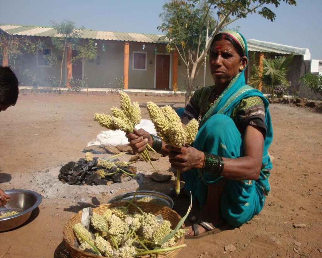 Problem In India, farmers are recognizing the need and desire to diversify their farm products and supplement